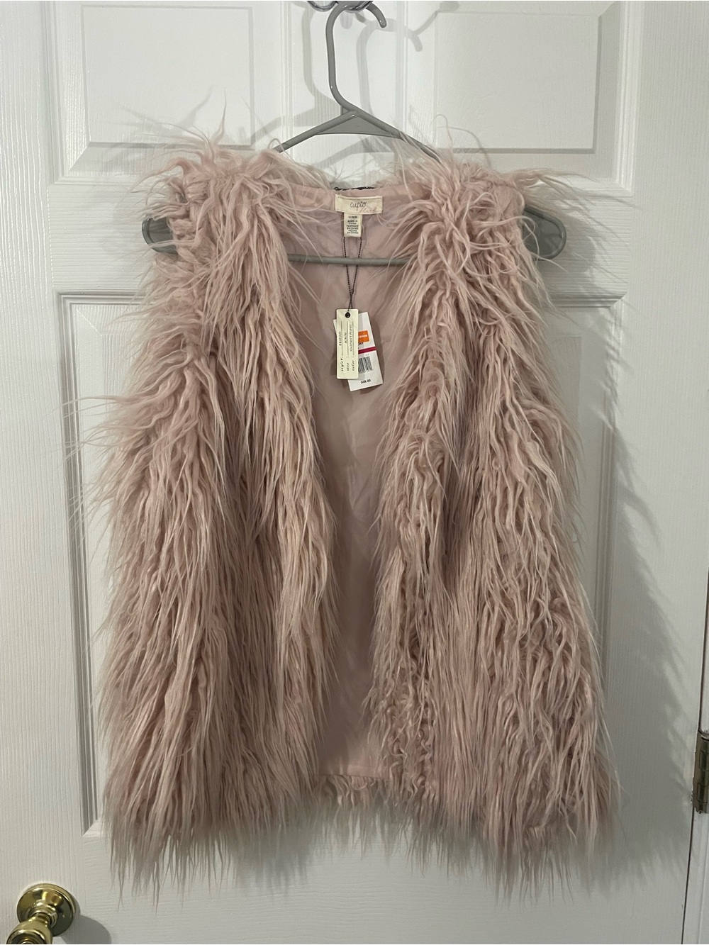Cupio Blush Pink Faux Fur Vest